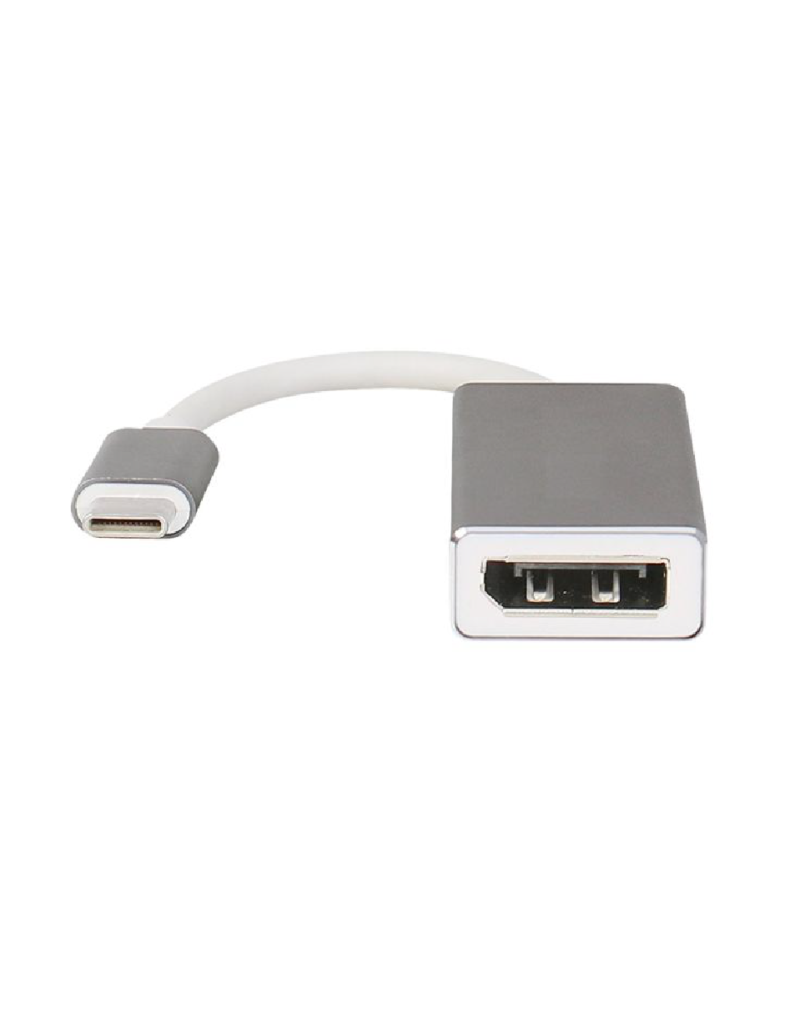 USB C to DisplayPort Adapter